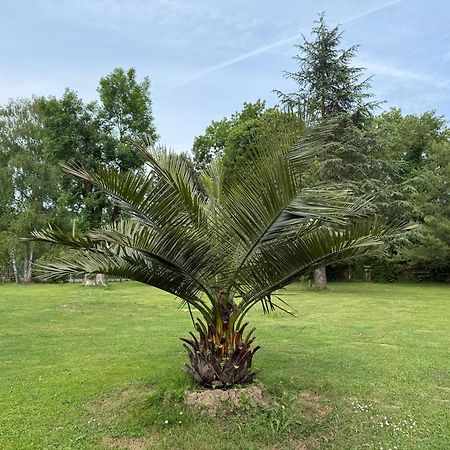 Appartement Familial Au Bord De La Marne, Jardin 8000M2, Piscine, Court De Tennis, Terrasse, Parking Gratuit Proche Disneyland Isles-lès-Villenoy Exteriér fotografie